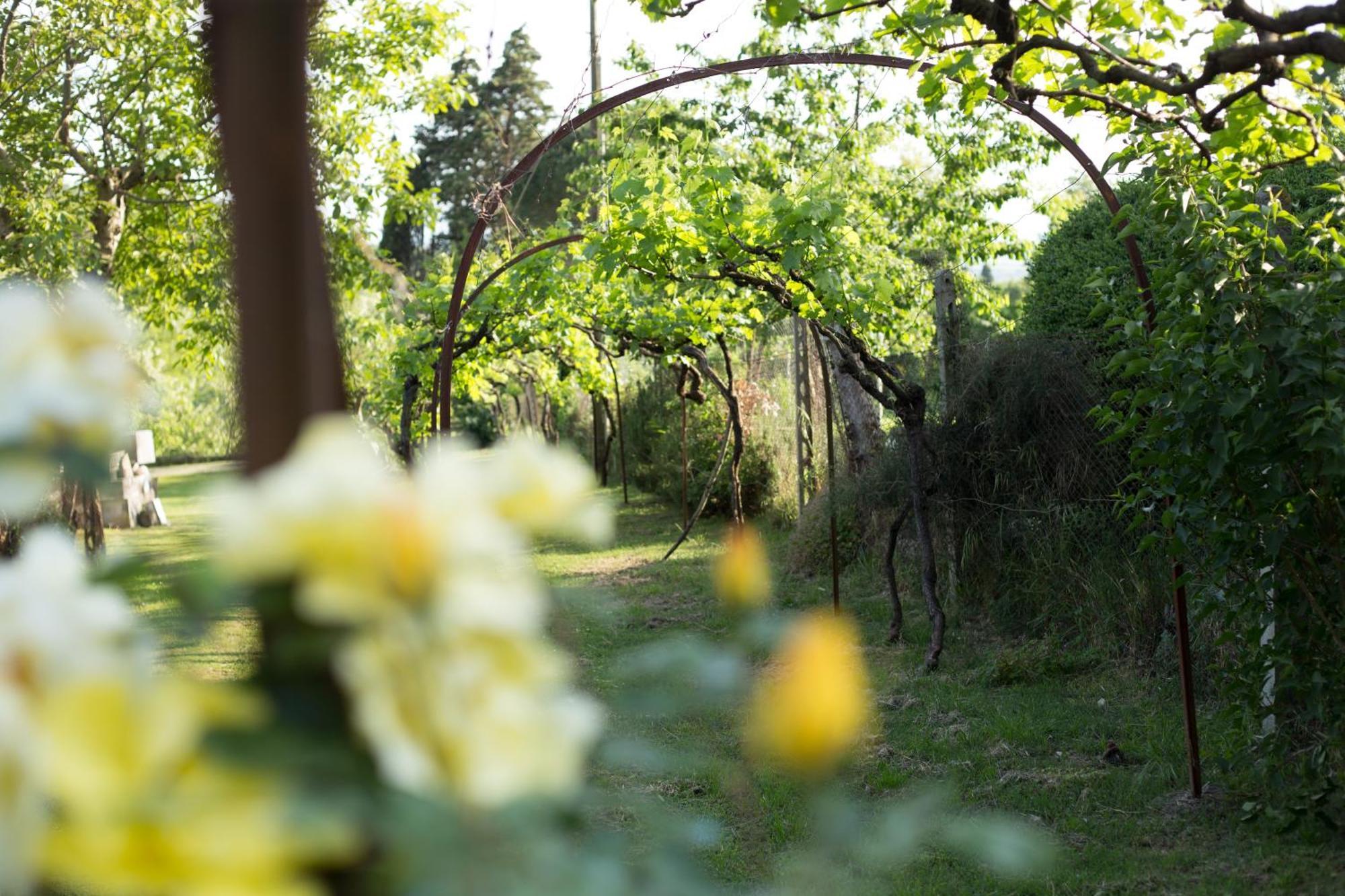 Villa Campo Di Fiore Ареццо Екстер'єр фото